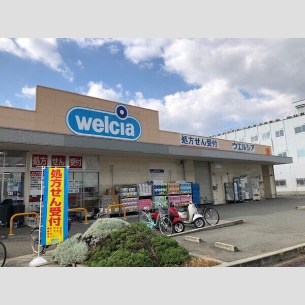 現地周辺 (ウェルシア尼崎大庄店(300m))