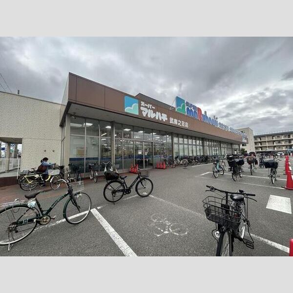 現地周辺 (スーパーマルハチ武庫之荘店 781m)