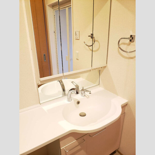 洗面所 (洗髪洗面化粧台)