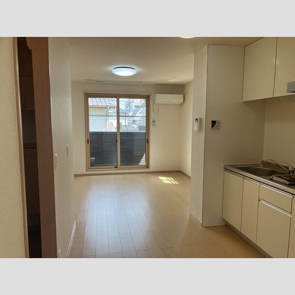 居室・リビング (LDK(照明は残置物))