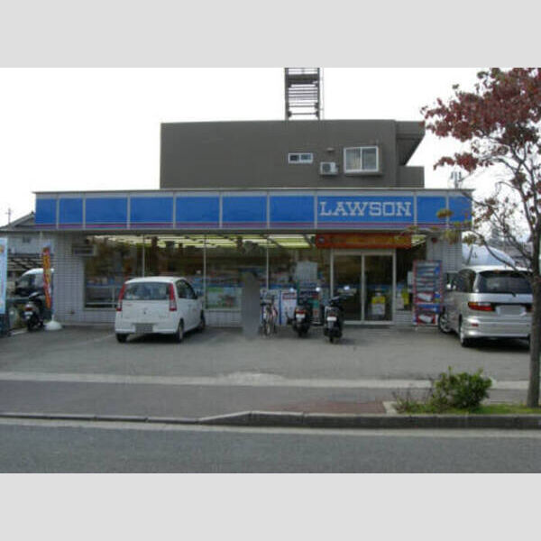 その他 (ローソン)