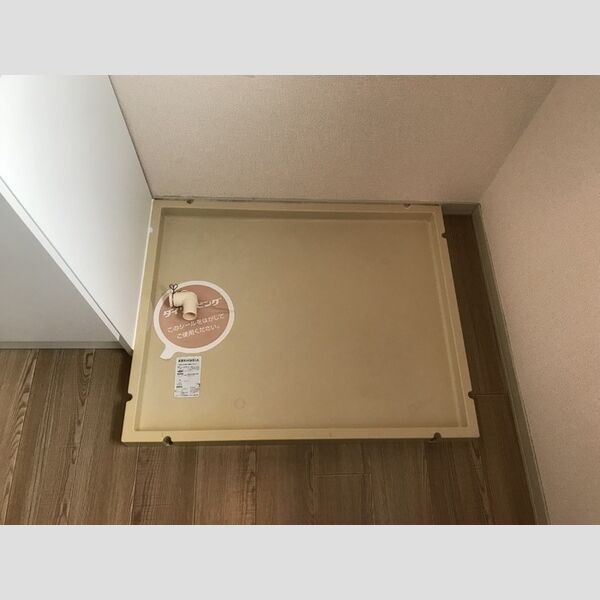 洗面所 (室内洗濯機置場)