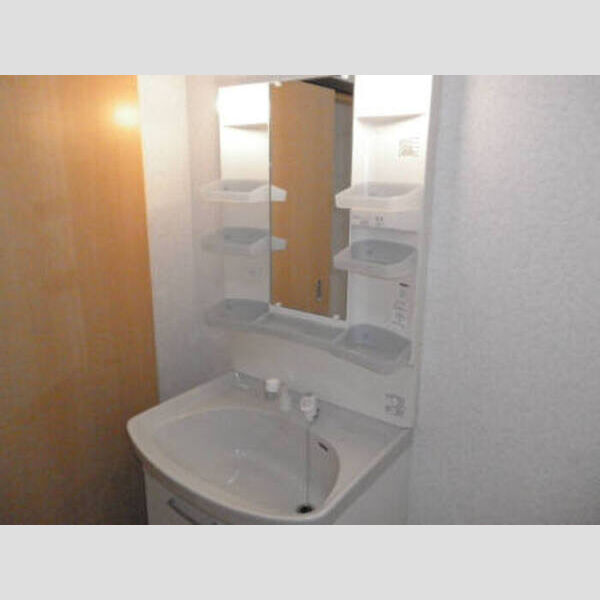 洗面所 (洗髪洗面化粧台)