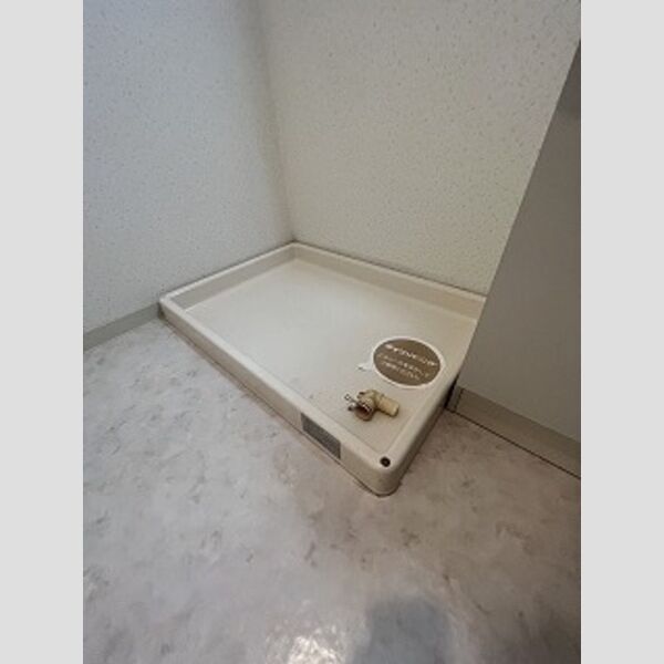 洗面所 (室内洗濯機置き場)