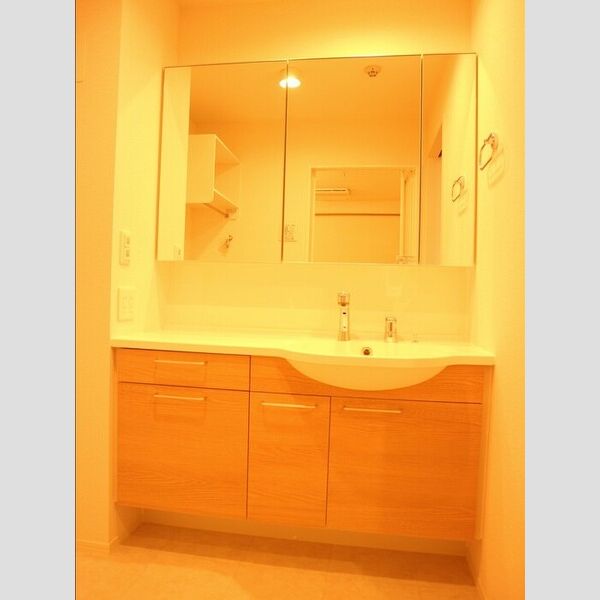 洗面所 (洗髪洗面化粧台)