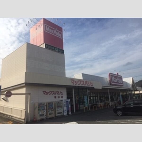 現地周辺 (マックスバリュ城山店(1267m))