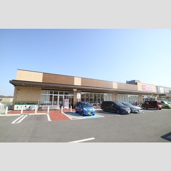 現地周辺 (マックスバリュ城北店(700m))