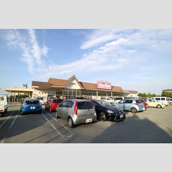 現地周辺 (マックスバリュ今福店(655m))