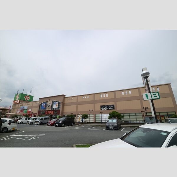 現地周辺 (ライフ福崎店(290m))