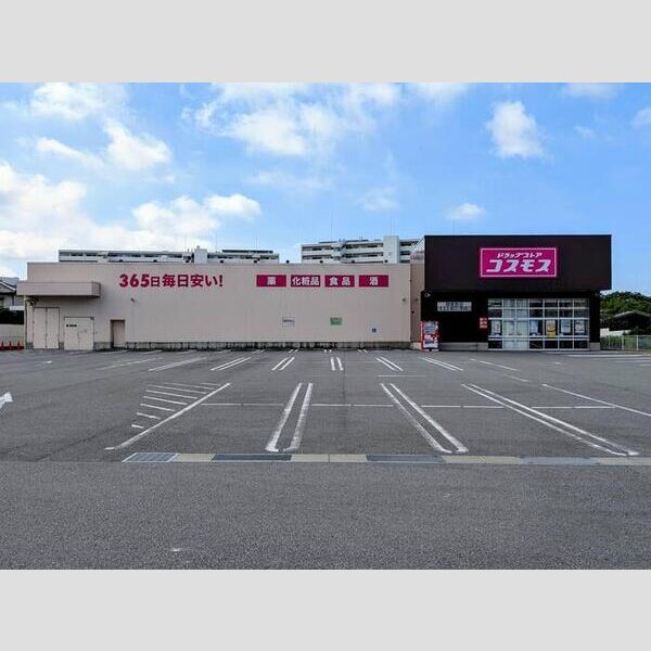 現地周辺 (ドラッグストアコスモス御国野店750m)