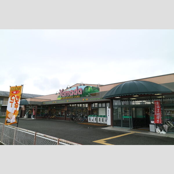 現地周辺 (ヤマダストア網干店(約800m))