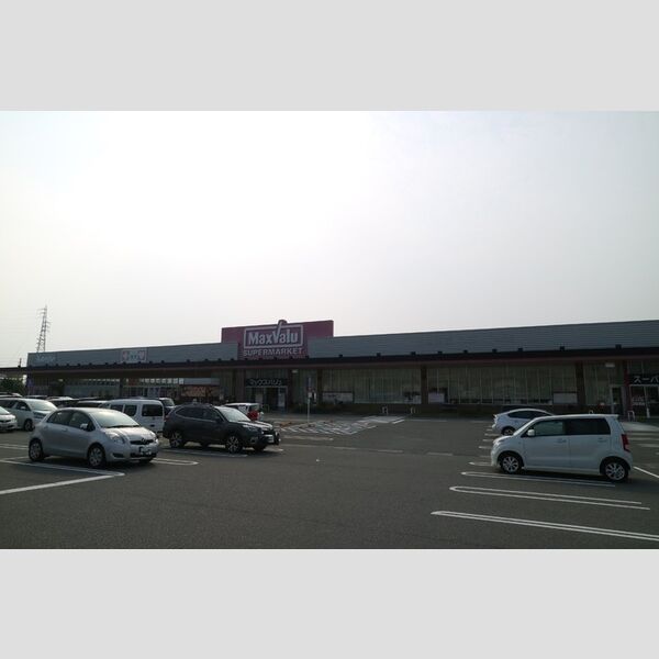 現地周辺 (マックスバリュ野口店(780m))
