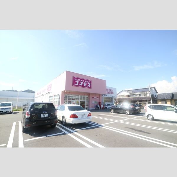 現地周辺 (ディスカウントドラッグコスモス町坪店(842m))
