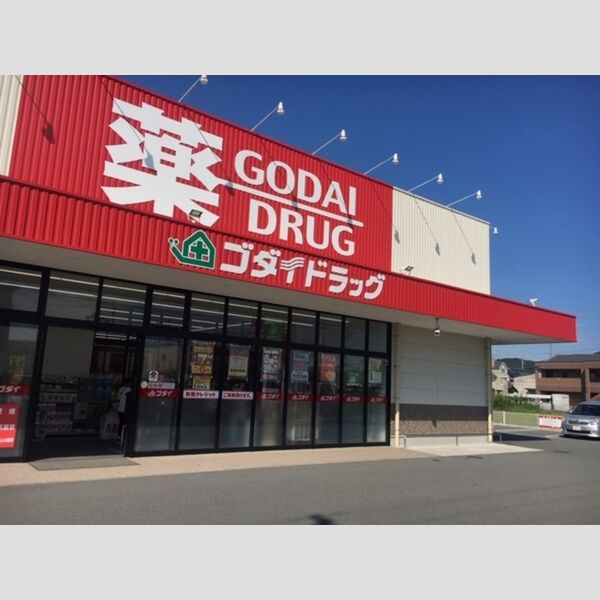 現地周辺 (ゴダイドラッグ上野田店(510m))