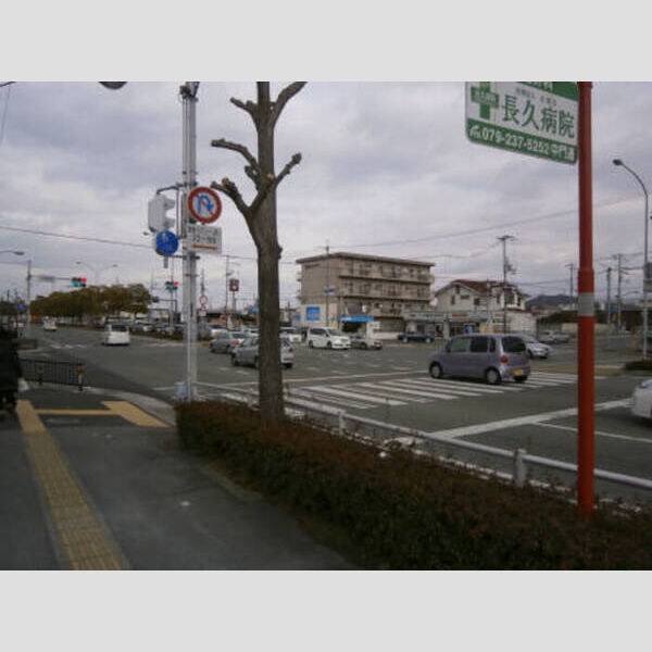 現地周辺 (周辺施設④下野田交差点)