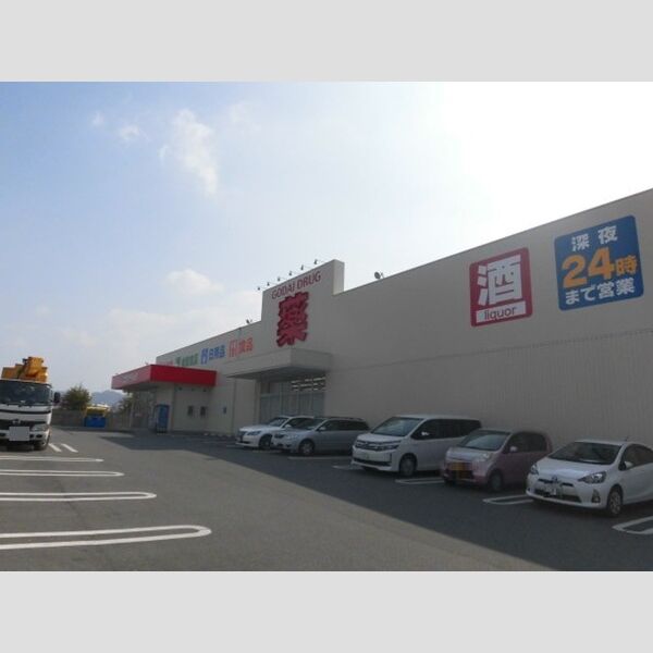 現地周辺 (ゴダイドラッグ城北新町店(230m))