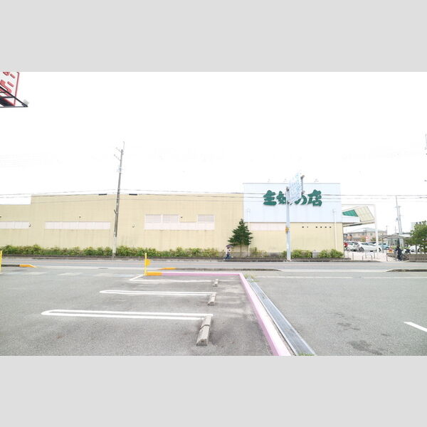 現地周辺 (主婦の店尾崎店(406m))
