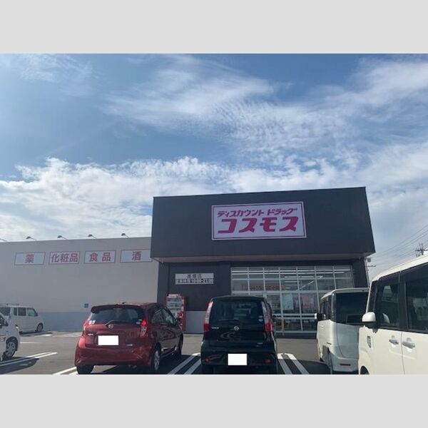 現地周辺 (コスモス 高畑店 約744m)