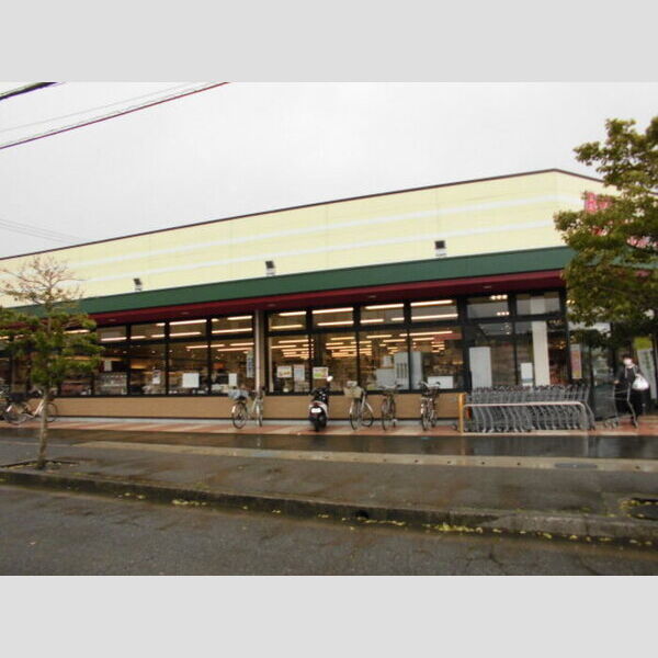 現地周辺 (ボンマルシェ南条店(544m))