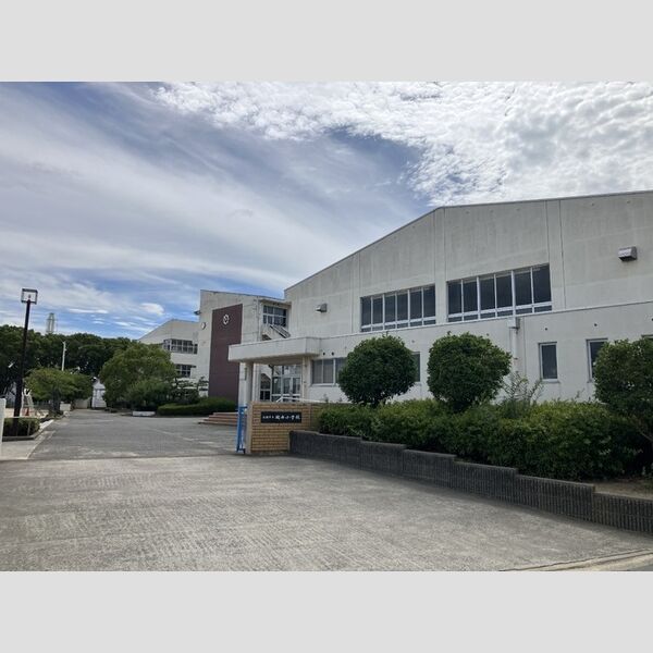 現地周辺 (城西小学校)