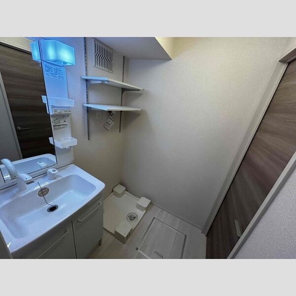 その他 (洗髪洗面化粧台)