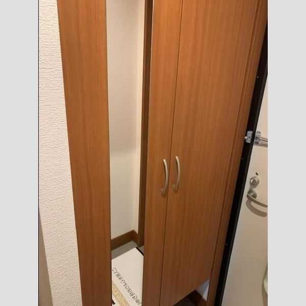 玄関 (シューズボックス)