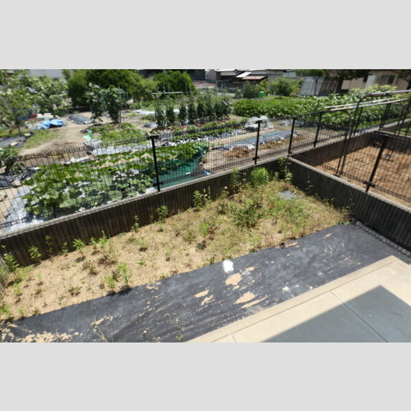 その他 (専用庭)