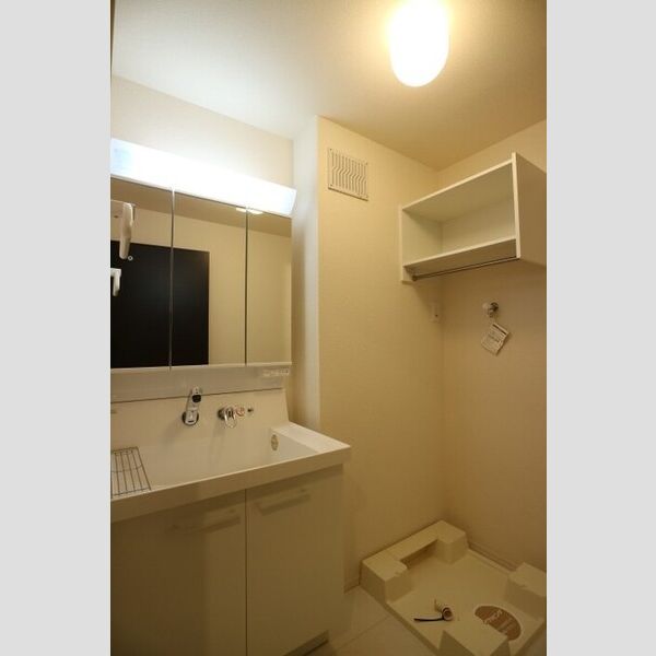 洗面所 (洗髪洗面化粧台)