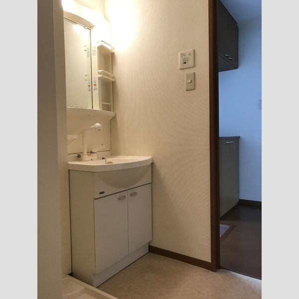 洗面所 (洗髪洗面化粧台、室内洗濯機置き場)