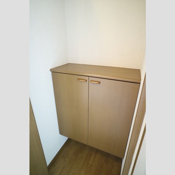 その他 (シューズボックス)