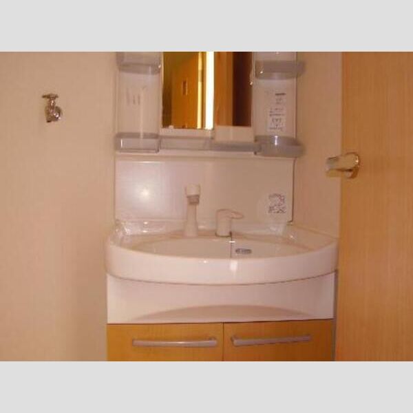 洗面所 (洗髪洗面化粧台設備)