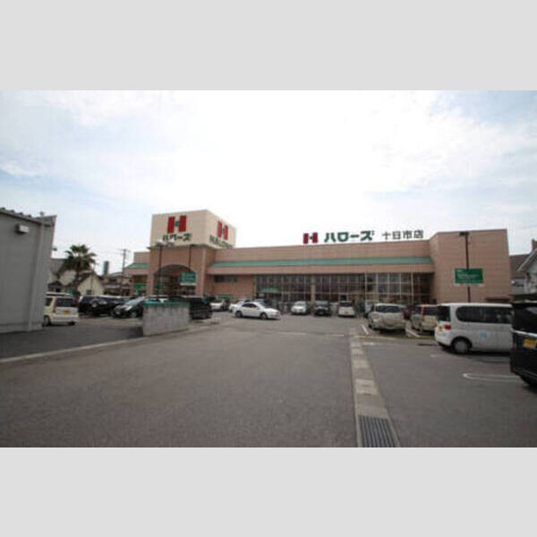 現地周辺 (ハローズ十日市店　788m)