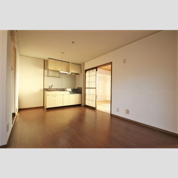 居室・リビング (203　DK)