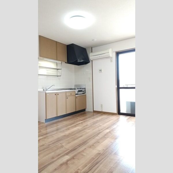 その他 (A201　DK)