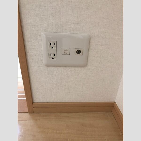 その他 (インターネット接続(有線))