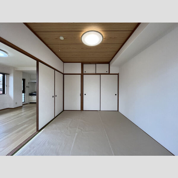 その他 (南西洋室)