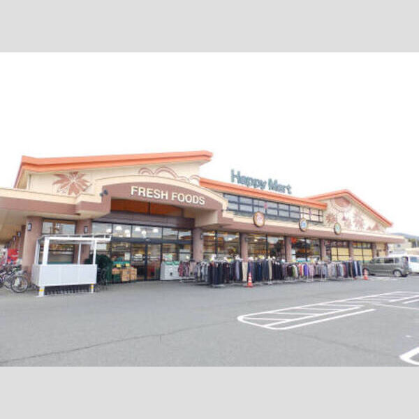 現地周辺 (天満屋ハッピーマート総社溝口店 597m)