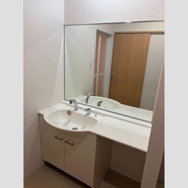 洗面所 (カウンター付き洗髪洗面化粧台)