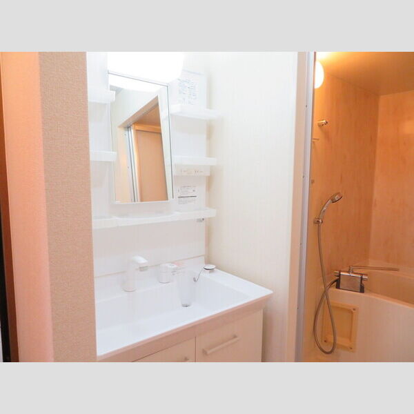 洗面所 (洗髪洗面化粧台)