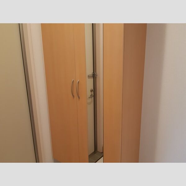 玄関 (シューズボックス)