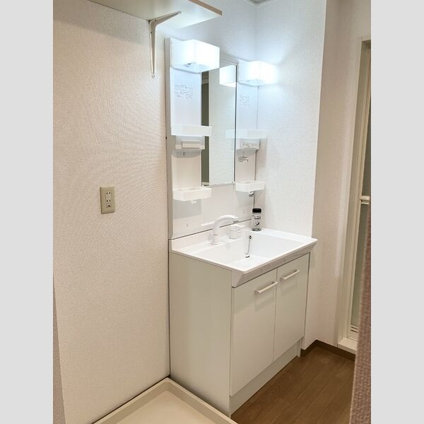 洗面所 (洗髪洗面化粧台)