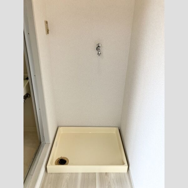 洗面所 (室内洗濯機置き場)