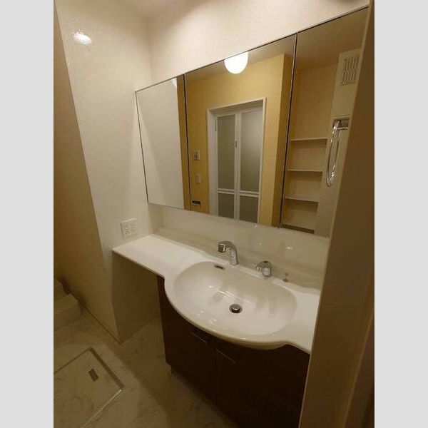 洗面所 (洗髪洗面化粧台)