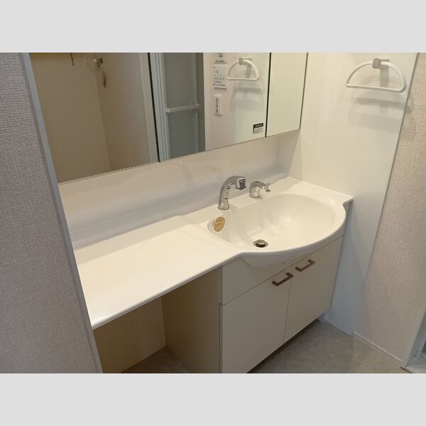 洗面所 (洗髪洗面化粧台)