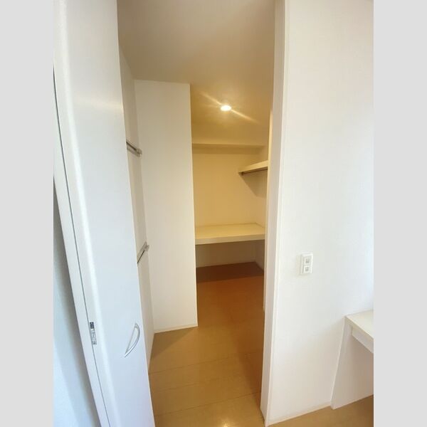 収納 (ウォークインクローゼット)