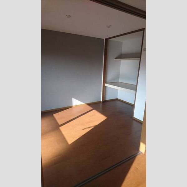 その他 (南西洋室)