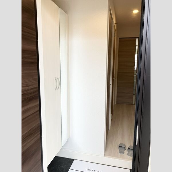 玄関 (シューズボックス)