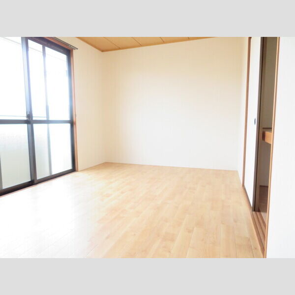 その他 (南西洋室)