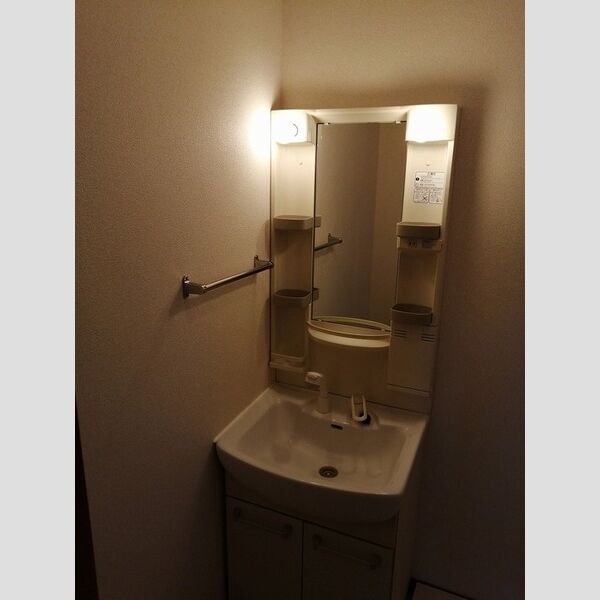 洗面所 (洗髪洗面化粧台)