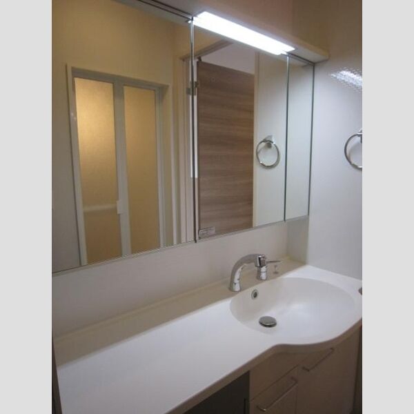 洗面所 (洗髪洗面化粧台)